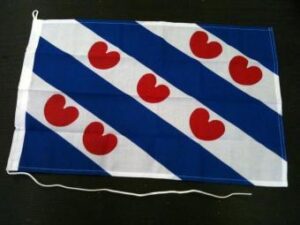 friese vlag middel 30 cm x 45 cm