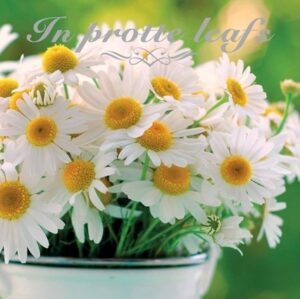 Wenskaart Fries In protte leafs