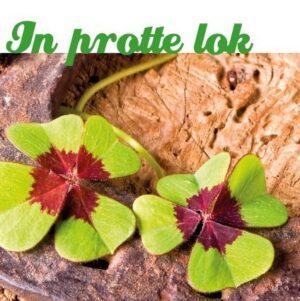 Wenskaart In Protte Lok