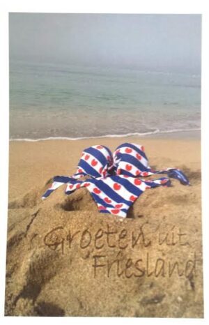 Groeten uit_Friesland_bikini