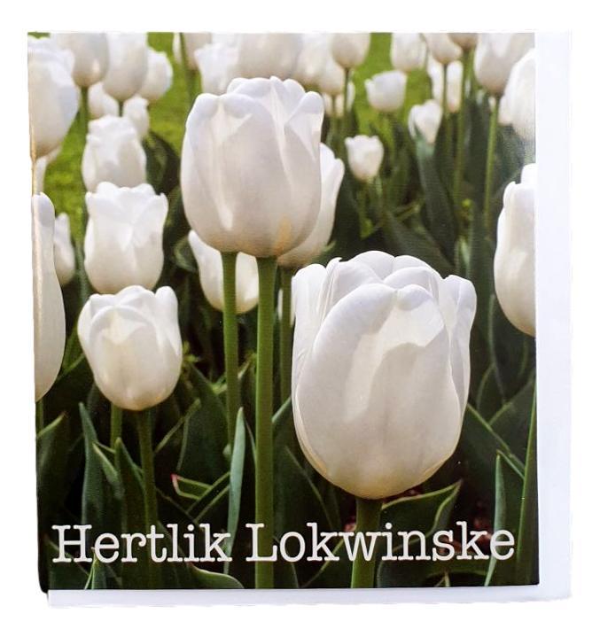 Kaart Hertlik lokwinske tulpen