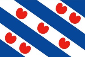 friese vlag 100 cm x 150 cm