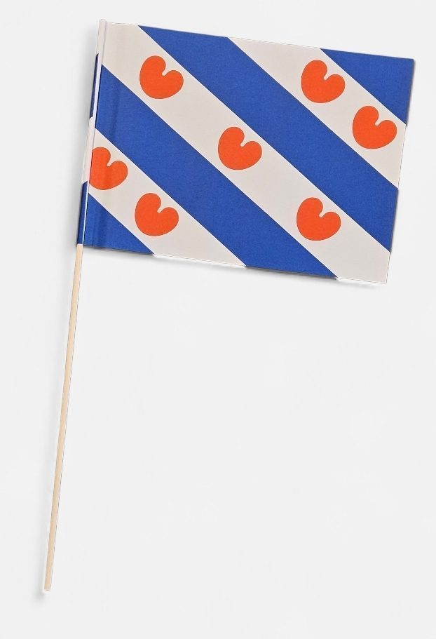 Friese zwaaivlaggetjes 10 stuks - Afbeelding 2